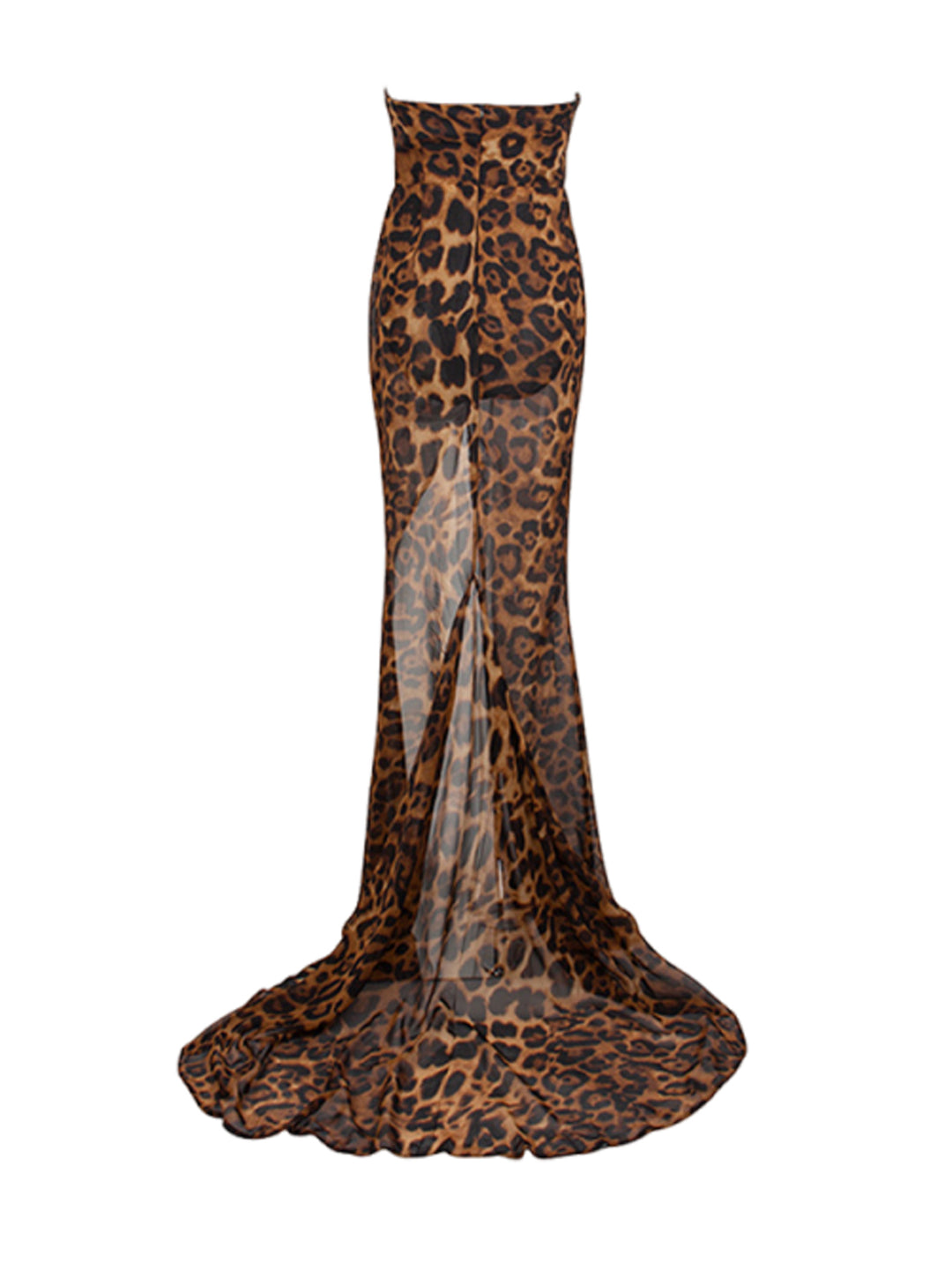 Leopard Mesh Maxi Dress