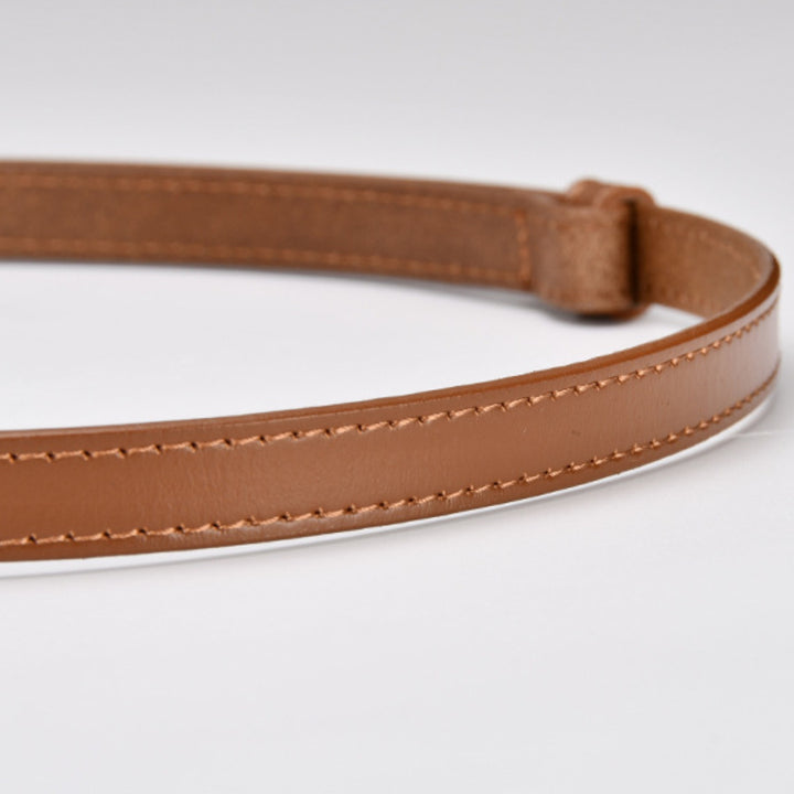 Simple Thin Belt