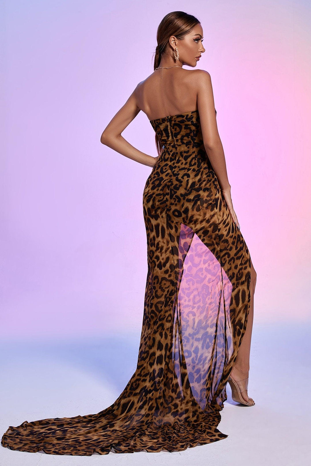 Leopard Mesh Maxi Dress